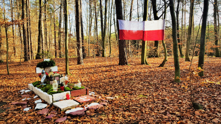 Jesienny Spacer-Grób Nieznanego Żołnierza autor Nikola Pikula